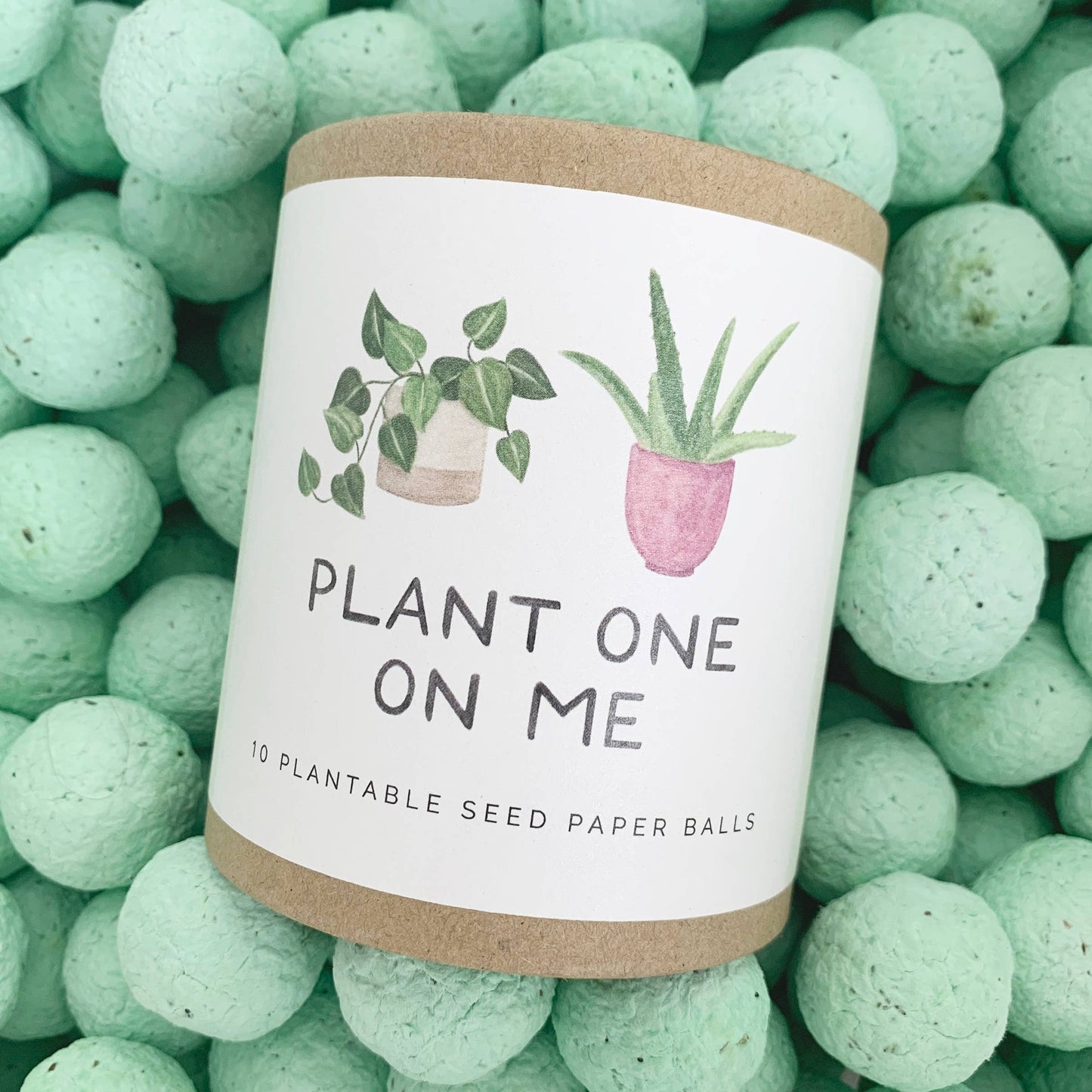 Plant One On Me — Plantable Wildflower Seed Ball Gift